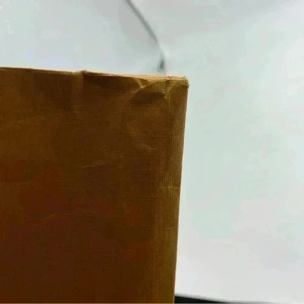 Louis Vuitton large paper shopping gift bag LV